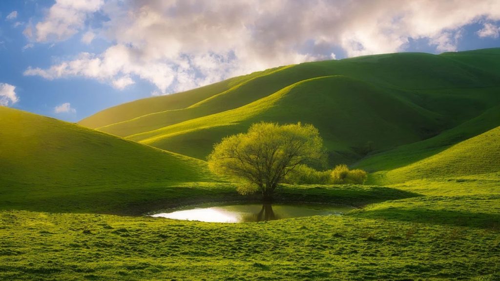 nature2-min